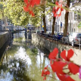 StadswandelingenGouda sfeerfoto 0